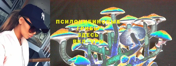 каннабис Богданович