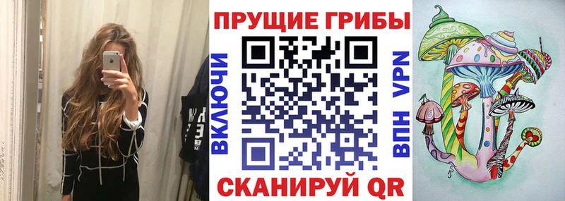 Галлюциногенные грибы Magic Shrooms  Егорьевск 